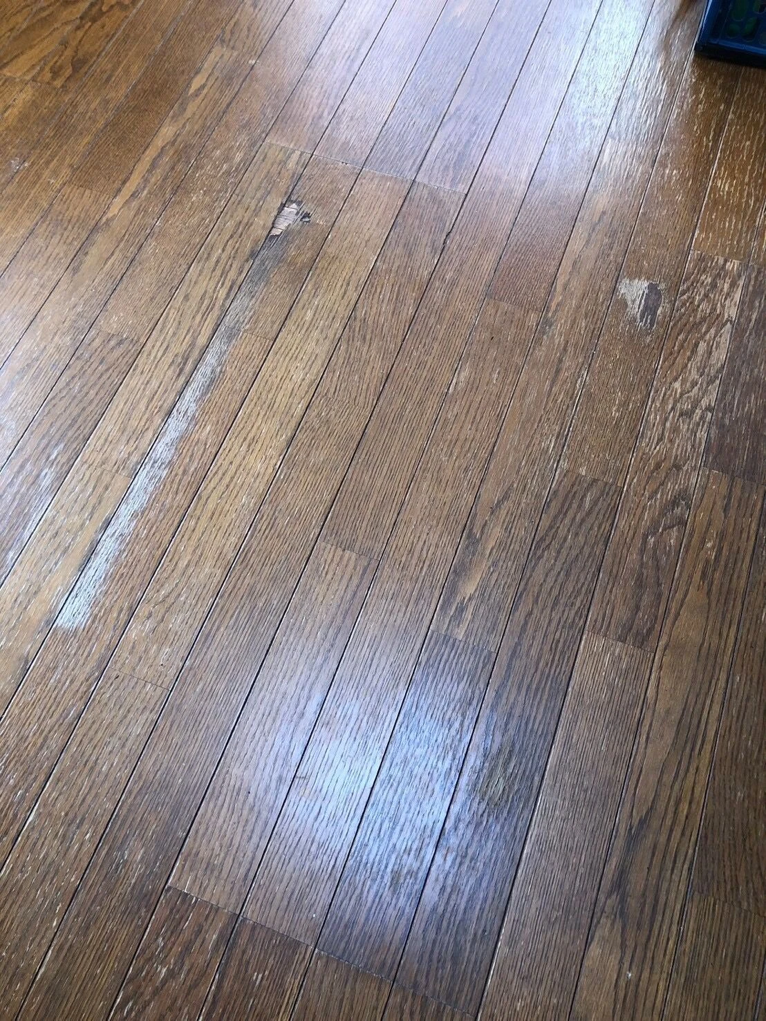 ブログ